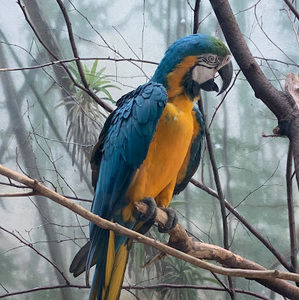 Meet your Posher, Alejandro